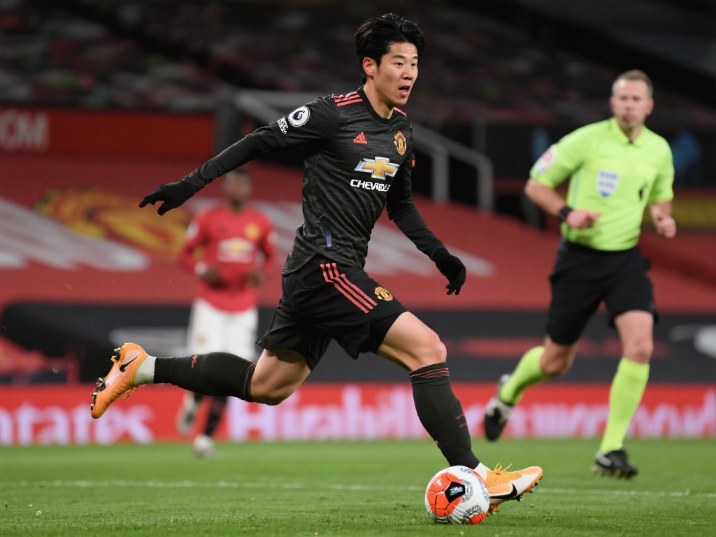 爱和不懈努 爱和不懈努